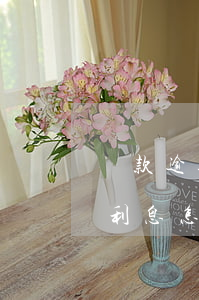 貸款逾期款怎么計(jì)算公式(逾期貸款利息怎么計(jì)算)