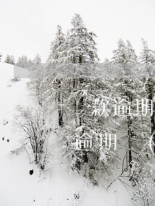 貸款逾期每天收費(fèi)(貸款逾期 收取逾期費(fèi)合理嗎)