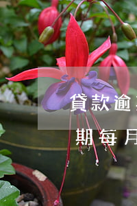 貸款逾期每月利息都還不起怎么辦-貸款逾期每月利息都還不起怎么辦呢