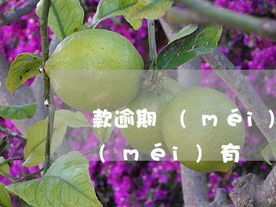 貸款逾期沒(méi)有還款能力(貸款逾期沒(méi)有還,還完了后多久可以貸款)