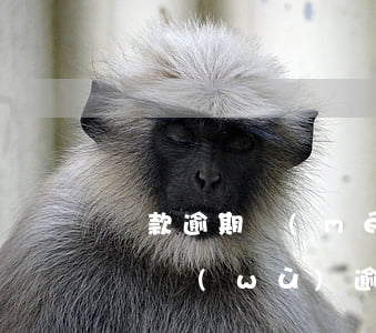 貸款逾期沒(méi)還發(fā)催告函(債務(wù)逾期催收通知書)