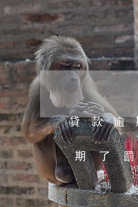 貸款逾期沒有產(chǎn)生罰息(貸款逾期了罰息有沒有規(guī)定)