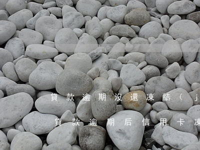 貸款逾期沒還凍結(jié)信用卡嗎(銀行貸款逾期后信用卡凍結(jié)了怎么辦)