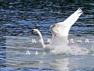 貸款逾期沒還可以改名嗎(貸款逾期沒還可以改名嗎)