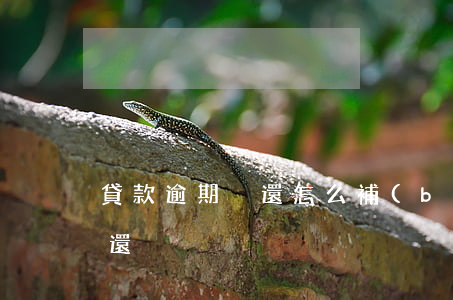 貸款逾期沒還怎么補(bǔ)救(貸款逾期未還)