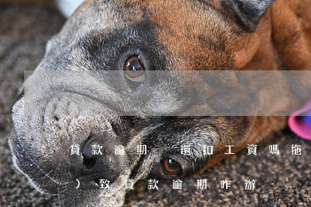 貸款逾期沒還扣工資嗎(拖欠工資導(dǎo)致貸款逾期咋辦)