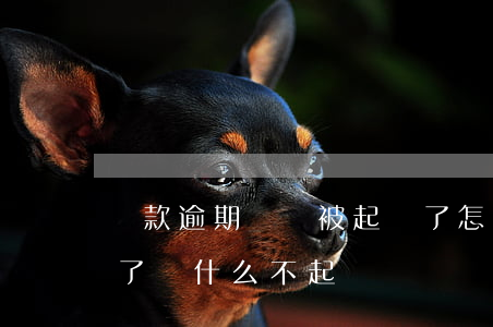 貸款逾期沒還被起訴了怎么辦(貸款逾期一年了為什么不起訴)