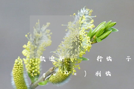 貸款逾期沒還銀行收車子(車貸逾期銀行有權(quán)利收車嗎)