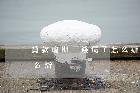 貸款逾期沒錢還了怎么辦(貸款到期沒錢還怎么辦)