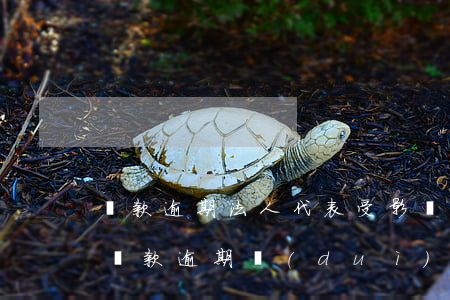 貸款逾期法人代表受影響(法人個(gè)人貸款逾期對(duì)公司有影響嗎)