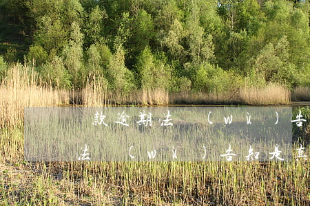 貸款逾期法務(wù)告知短信真假(借款的法務(wù)告知是真的假的)
