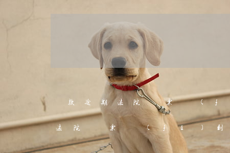 貸款逾期法院傳票發(fā)到哪(貸款逾期法院傳票發(fā)到哪)