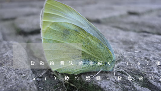 貸款逾期法院凍結(jié)銀行卡會(huì)被拘留嗎-貸款逾期法院凍結(jié)銀行卡會(huì)被拘留嗎知乎