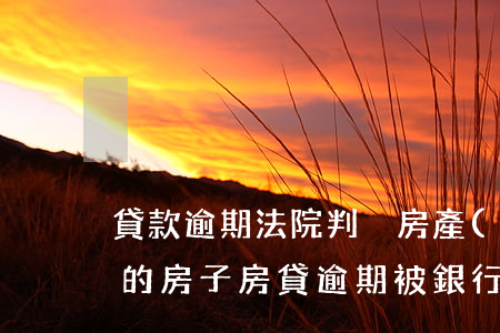 貸款逾期法院判決房產(chǎn)拍賣(我的房子房貸逾期被銀行起訴拍賣)