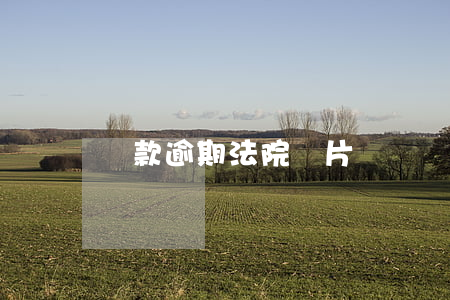 貸款逾期法院圖片