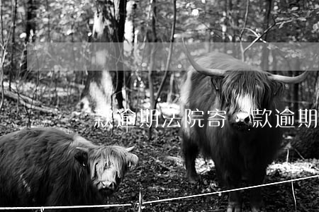 貸款逾期法院寄(貸款逾期被起訴是法院通知嗎)