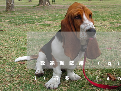 貸款逾期法院強(qiáng)制執(zhí)行多長時(shí)間(貸款逾期,法院判決后會立即強(qiáng)制執(zhí)行嗎?)