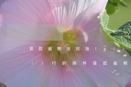 貸款逾期法院強(qiáng)制執(zhí)行的條件(貸款逾期強(qiáng)制執(zhí)行是什么意思)