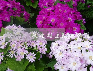 貸款逾期法院怎么通知(貸款逾期通知書(shū)怎么解決)