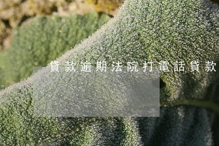 貸款逾期法院打電話（貸款逾期法院）