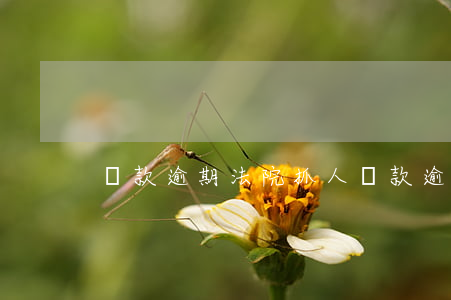 貸款逾期法院抓人(貸款逾期法院抓人)