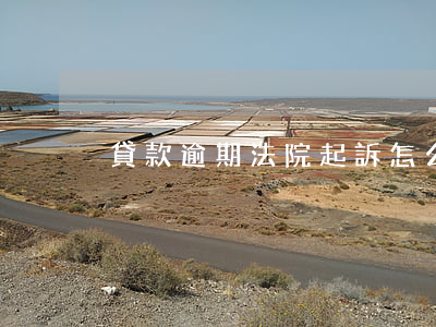 貸款逾期法院起訴怎么辦（貸款逾期起訴圖片）