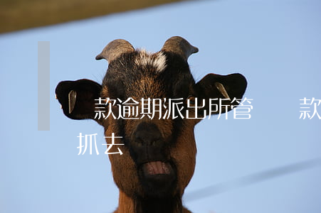 貸款逾期派出所管嗎(貸款逾期多久被派出所抓去)