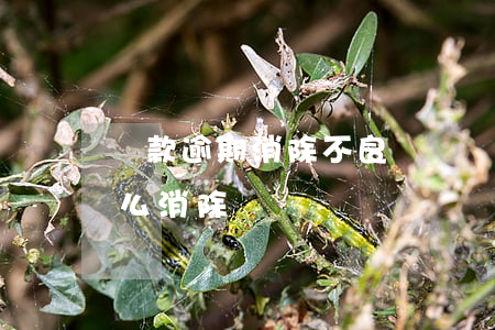 貸款逾期消除不良記錄嗎(貸款有逾期記錄怎么消除)