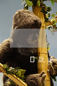 貸款逾期減免書格式(貸款逾期通知書樣本)