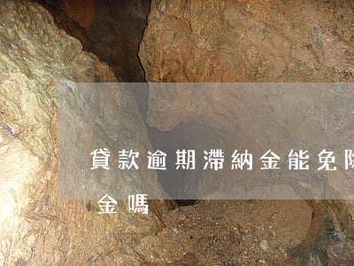 貸款逾期滯納金能免除嗎(貸款逾期要交滯納金嗎)