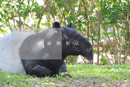 貸款逾期犯法嗎（逾期貸款違反刑法）