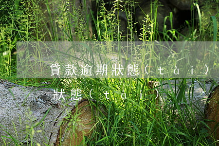 貸款逾期狀態(tài)1-貸款顯示逾期狀態(tài)