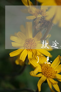 貸款逾期狀況有哪些(貸款逾期了會(huì)怎樣)