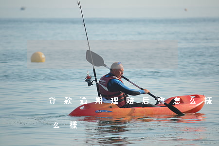 貸款逾期理賠后會怎么樣(保險貸款逾期會怎么樣)