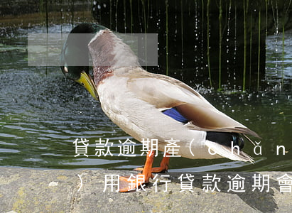 貸款逾期產(chǎn)生什么費(fèi)用(銀行貸款逾期會產(chǎn)生哪些費(fèi)用)