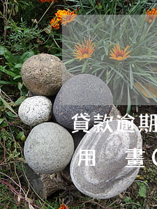 貸款逾期用戶畫(huà)像分析(貸款逾期用戶畫(huà)像分析)