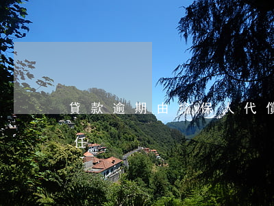 貸款逾期由擔保人代償(貸款逾期擔保人的責任)
