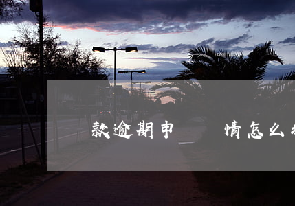 貸款逾期申訴詳情怎么填(貸款逾期怎么辦)