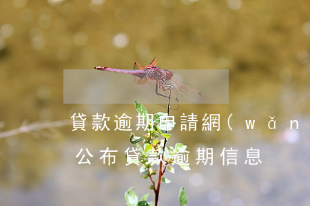 貸款逾期申請網(wǎng)絡(luò)公布(貸款逾期信息)