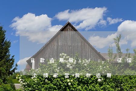 貸款逾期發(fā)征信報告過來(征信報告上顯示當前有逾期)