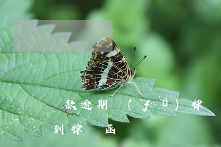 貸款逾期發(fā)律師同志(信用貸逾期接到律師函)