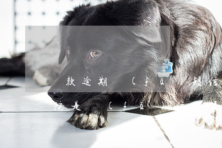 貸款逾期發(fā)短信上法院(貸款逾期法院是發(fā)信息通知嗎)