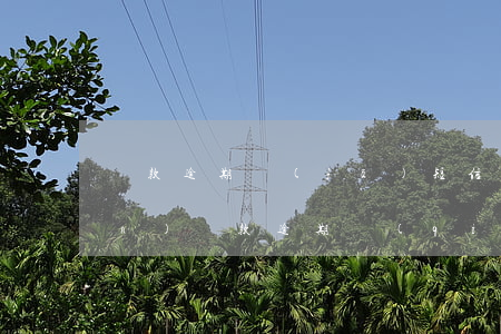 貸款逾期發(fā)短信劃扣資產(chǎn)(貸款逾期強(qiáng)制劃扣)
