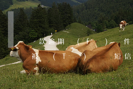 貸款逾期發(fā)郵件起訴(貸款逾期一直被發(fā)訴訟短信)