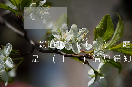 貸款逾期發(fā)開庭信息(貸款逾期法院是發(fā)信息通知嗎)