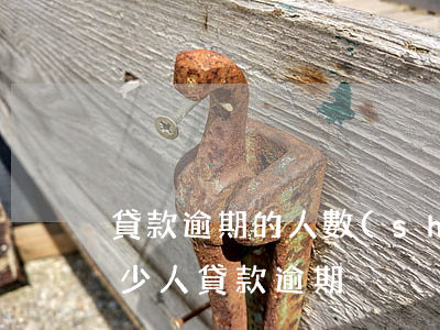 貸款逾期的人數(shù)多不多(全國有多少人貸款逾期)