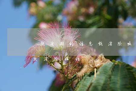 貸款逾期的信息能消除嘛(逾期貸款還清后多久消除征信)