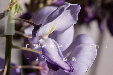 貸款逾期的內(nèi)部原因(貸款狀態(tài)逾期)