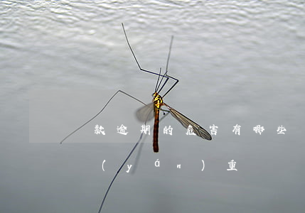 貸款逾期的危害有哪些(貸款逾期有什么后果嚴(yán)重)