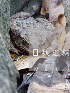貸款逾期的后果有哪些(請(qǐng)問(wèn)貸款逾期還款會(huì)是怎么樣的后果)